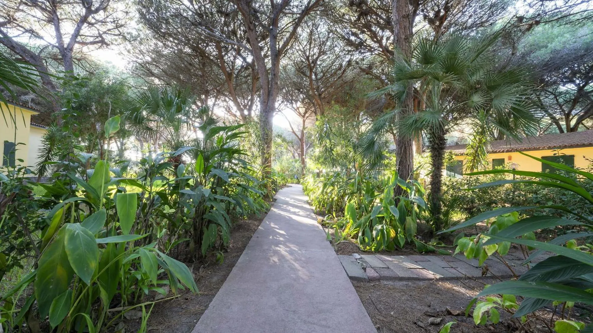 Apartment Nature & Country Resort Near The Sea Arborea