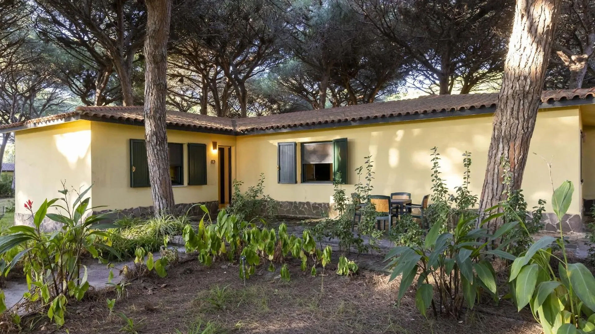 Nature & Country Resort Near The Sea Arborea Apartment